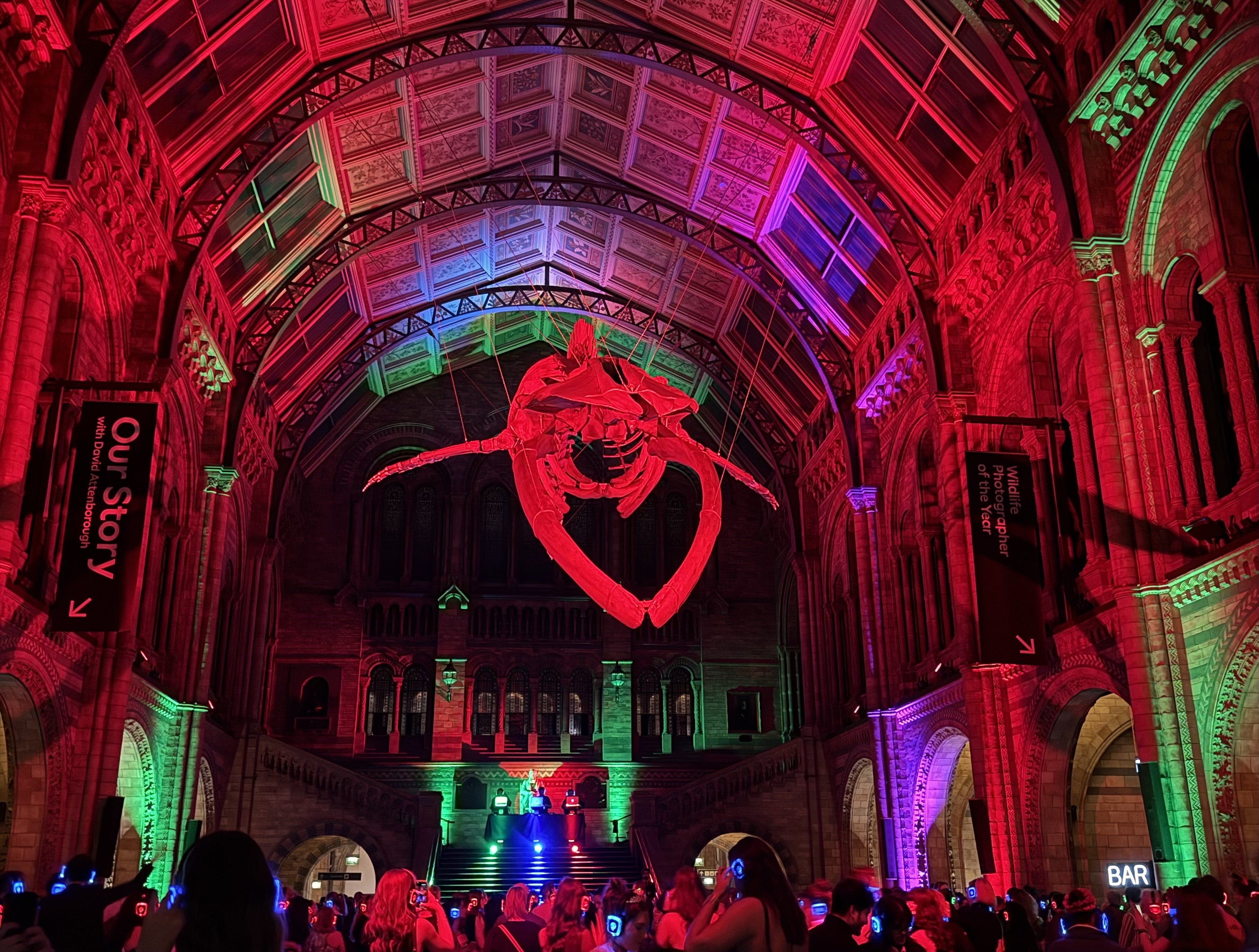 The whale at the Natural History Museum, during a silent disco